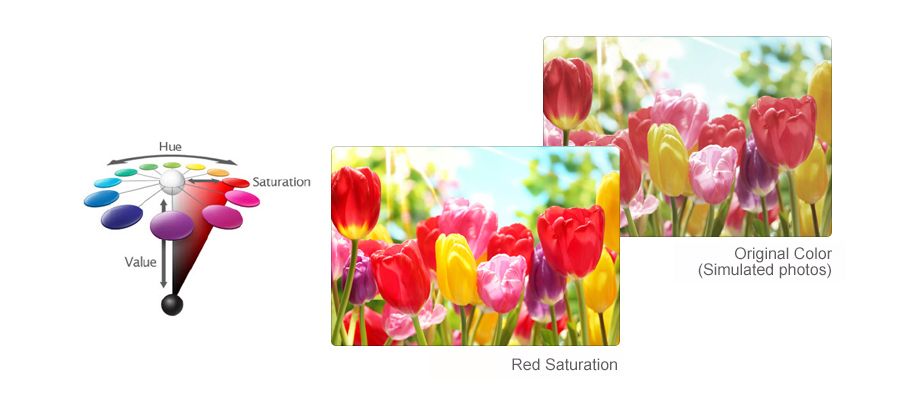 product info